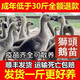 【正宗】獅頭鵝活苗正宗特大種潮汕獅頭鵝幼苗灰獅子頭鵝小鵝活苗 正宗獅頭鵝苗【疫苗齊全】 買(mǎi)5送1發(fā)6只【一斤左右】脫溫苗