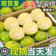 甜萌果蔬正宗廣西皇帝柑橘子貢柑貢橘新鮮水果當季現摘水果禮盒中秋送禮 9斤甄選裝【單果約70mm+】?jì)糁?.5斤