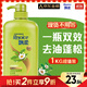 飄柔蓬松洗發(fā)水去油男女士日常護理家庭裝綠茶精華洗發(fā)露膏1KG