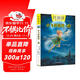 任溶溶精譯書(shū)系 小飛俠彼得·潘