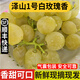 良知農哥【順豐】山東青島大澤山玫瑰香葡萄 澤山一號白玫瑰香4斤