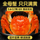 【活蟹】湖塘煙雨 太湖大閘蟹全母3.4-3.7兩8只鮮活螃蟹現貨河蟹生鮮水產(chǎn)禮盒源頭直發(fā)