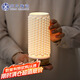 蘇氏陶瓷（SUSHI CERAMICS）瀾燈浮光半夏觸屏遙控五彩小夜燈氛圍燈干花插花花瓶文創(chuàng  )伴手禮 