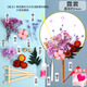 耀好扇子DIY團扇手工制作材料包永生花干花手工活動(dòng)作品手工禮物成人工藝品自己做國慶節中秋 DIY材料包-霓裳
