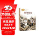 慈母情深 梁曉聲著(zhù) 五年級上冊 人教版課文作家作品系列 語(yǔ)文教材配套讀物 同名作品收入中小學(xué)語(yǔ)文教科書(shū)