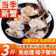 舟山梭子蟹 整只特大螃蟹鮮活冷凍海鮮水產(chǎn) 梭子蟹塊【新蟹】約48-54塊凈重3斤