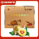 廣元特產(chǎn)地標產(chǎn)品蒼溪紅心獼猴桃5斤大果24枚中秋禮盒紅心奇異果 5斤大果24枚【單果90-110g】送禮必備主推
