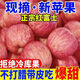 【新鮮】正宗煙臺紅富士蘋(píng)果脆甜多汁水果蘋(píng)果青蘋(píng)果紅富士 5斤【中果】