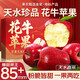 正宗甘肅天水花牛蘋(píng)果9斤現摘新鮮水果粉面香甜紅蛇果紅富士禮盒Y 12個(gè)裝【精品禮盒】 禮盒甄選75mm