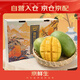 京鮮生 樹(shù)上熟 四川攀枝花凱特芒果 凈重10斤  5-7顆 生鮮水果 中秋