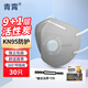 青霄 KN95活性炭口罩 30只獨立包裝 9+1層 帶呼吸閥加厚防護工業(yè)粉塵專(zhuān)用防灰粉塵防霧霾甲醛防異味