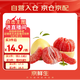 京鮮生 紅肉蜜柚 2粒 單果1.5-2.5斤 生鮮水果