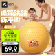 奧義瑜伽球嬰兒大龍球兒童感統(tǒng)訓(xùn)練防爆孕婦助產(chǎn)健身球按摩哄睡蘿卜蹲