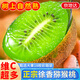 京地達陜西徐香獼猴桃奇異果18枚重3.6斤單果100g+新鮮水果源頭直發(fā)包郵