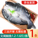 滋百尚三去開(kāi)背免處理叉尾鮰魚(yú) 新鮮冷凍烤魚(yú)整條腌制 【開(kāi)背免處理】鮰魚(yú)凈重1.2-1.6斤*1條