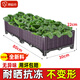 原起點(diǎn)陽(yáng)臺樓頂種菜箱長(cháng)方形蔬菜種植箱神器種菜盆菜箱塑料花箱戶(hù)外 【超值·福利款】 80cm長(cháng)二聯(lián)箱