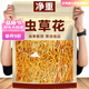 胖東來(lái)甄選蟲(chóng)草花干貨特級2025新鮮頭茬蟲(chóng)草北蛹金蟲(chóng)草燉雞鴨煲湯 【高品質(zhì)】蟲(chóng)草花【煲湯/佳品】 【凈重發(fā)貨】半斤：247-253·g