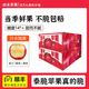 旭崢果蔬陜西白水正宗秦脆蘋(píng)果當季頭茬新鮮孕婦水果脆甜多汁整箱禮盒順豐 凈重4.5斤【中果】10-12枚