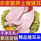 【順豐發(fā)貨】冷凍豬耳朵片豬耳尖豬耳朵商用肉帶根一只三到四兩 2斤【帶根豬耳朵】