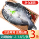 滋百尚三去開(kāi)背免處理叉尾鮰魚(yú) 新鮮冷凍烤魚(yú)整條腌制 【開(kāi)背免處理】鮰魚(yú)凈重1.2-1.6*3條