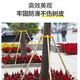 萌肉居綠化支撐桿樹(shù)木苗木支撐架固定器大樹(shù)防風(fēng)支架圓木松木楊樹(shù)木支架 楊木1.5米長(cháng)3.5cm粗 全套3根