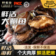軒農谷鮮活大鮑魚(yú)特大新鮮海鮮水產(chǎn)鮮鮑魚(yú)冰鮮小鮑魚(yú)【11-12頭】鮮活鮑魚(yú)1斤
