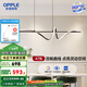 歐普（OPPLE）/花語/防眩線型吊燈Ra95呵護(hù)光智能吸頂燈無主燈客臥套餐DD 【呵護(hù)光+智控】花語黑色 餐廳