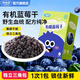 妙伯樂(lè )藍莓果干兒童袋裝果脯蜜餞水果干休閑食品寶寶零食小吃干藍莓肉 有機藍莓干100g*1盒