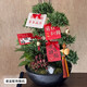 芙洛拉花園【兩小時(shí)達(dá)】五層塔松盆栽送導(dǎo)師青松綠植喬遷之喜開業(yè)教師節(jié)禮物 步步高升【精致造景五層塔松盆景】 升職送禮推薦