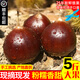 竹栗鮮板栗生栗子新鮮帶殼錐栗建甌油栗現(xiàn)摘高山野生椎栗圓栗大板栗毛栗 甜糯 2斤 商超（2.5-2.7cm）