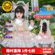 G.DUCKKIDS小黃鴨洛麗塔公主裙女童裙子春秋蓬蓬裙兒童生日禮服花仙子蛋糕裙 裙子+拖尾 100 尺碼2~3歲【 90-100cm】
