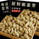 儲老山東現(xiàn)挖新鮮帶泥姜芽 嫩芽做泡菜開胃新鮮整箱 4.5斤帶箱【凈重4斤】 精選裝