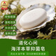 道化心閑海洋本草抑菌清潔滋潤香皂 白色