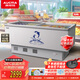 澳柯瑪（AUCMA）528升冰柜雪糕柜商用展示柜鋼化玻璃臥式點(diǎn)菜柜超市速凍保鮮平面島柜 冷藏冷凍可轉換 SC/SD-528
