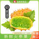 新鮮火參果當(dāng)季現(xiàn)摘刺角甜瓜火生果火星果海參果稀有水果包郵3 4枚 特大果 單果250g以上
