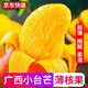 京地達(dá)廣西小臺芒果凈重5斤單果100g小芒果新鮮水果源頭直發(fā)包郵