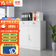 遠(yuǎn)奧矮柜文件柜鐵皮柜鋼制儲(chǔ)物柜資料檔案柜財(cái)務(wù)辦公柜二斗下節(jié)