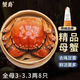 【活蟹】蟹爵大閘蟹鮮活螃蟹現(xiàn)貨生鮮河蟹實物水產(chǎn)海鮮禮盒 全母3-3.3兩8只
