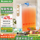 格力（GREE） 電油汀取暖器家用大面積電暖器17片加寬油丁客廳臥室3000W大功率速熱暖氣片烤火爐NDY19-S6130