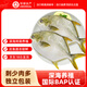 環(huán)球水產(chǎn)冷凍南海金鯧魚(yú)2斤/2條 生鮮魚(yú)類(lèi) 火鍋 深海魚(yú) 海鮮水產(chǎn) 家庭聚餐
