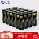 Wilson威爾勝美網(wǎng)聯(lián)名網(wǎng)球整箱裝24筒 網(wǎng)球3粒裝 網(wǎng)球比賽訓練
