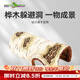 REPTIZOO瑞皮躲避藍(lán)舌石龍子爬寵屋守宮蛇鬃獅蜥樺木仿真 樺木躲避洞【小號(hào)】
