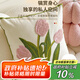 艾薇沙發(fā)抱枕靠墊床上靠枕汽車(chē)腰靠辦公室腰枕套含抱枕芯45*45郁金香