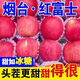 正宗紅富士蘋果脆新鮮水果脆甜多汁冰糖條紋蘋果脆甜整箱批發(fā)9斤 5斤精選裝