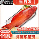 海澤鮮 海捕東星斑 深海燕尾老虎斑鮮活凍龍膽石斑魚(yú)生鮮魚(yú)類(lèi)中秋送禮 海捕東星斑 1- 1.2斤 /條