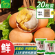 龍鳳活珠活珠子50g*20枚 五香味 毛蛋雞蛋13天新鮮雞胚鋼化蛋開(kāi)袋即食熟食