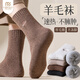 莫代爾3雙羊毛襪子男士毛圈襪秋冬季加絨加厚保暖襪東北扎秋褲睡眠襪子