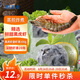 鮮美來(lái)黑虎蝦皇蝦滑100g/袋  火鍋蝦丸 黑虎蝦 燒烤食材關(guān)東煮