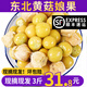 良知農哥【順豐】東北新鮮洋菇娘果 新鮮黃姑娘果燈籠果菇?jīng)龉麕?3斤