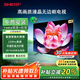 SHIERP官方正品【限時(shí)補(bǔ)貼20%】2025新款65寸全面屏8K液晶電視機(jī)高清防藍(lán)光智能護(hù)眼網(wǎng)絡(luò)家用無(wú)線(xiàn)投屏 55EA語(yǔ)音旗艦版16+512G